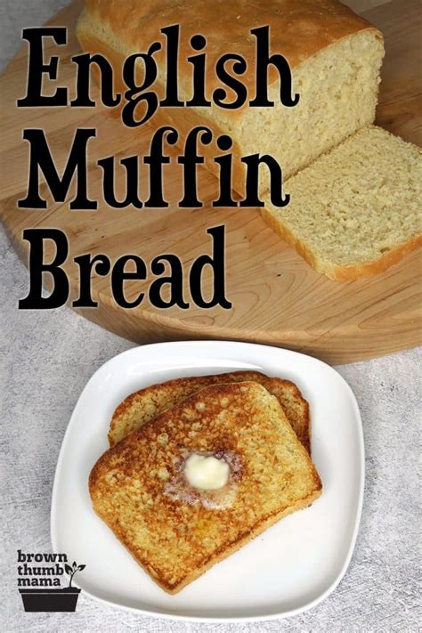 no-knead-english-muffin-bread-brown-thumb-mama image