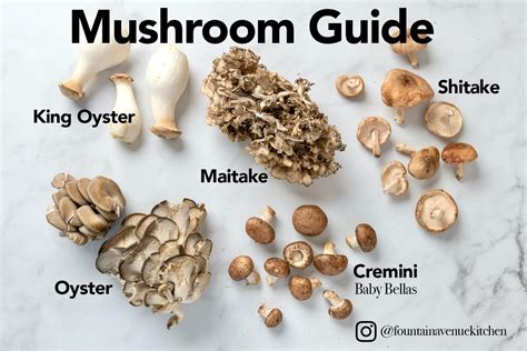 roasted-wild-mushrooms-the-fountain-avenue-kitchen image