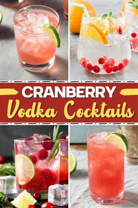 15-best-cranberry-vodka-cocktails-easy image