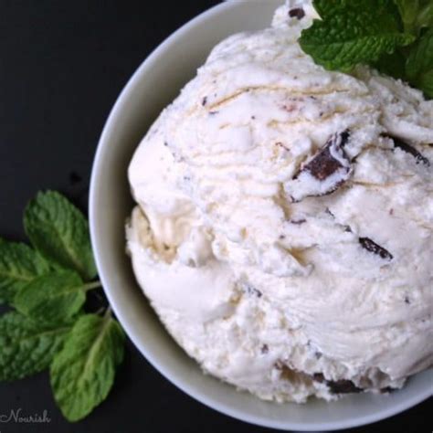 real-food-mint-chocolate-chip-ice-cream-recipes-to image