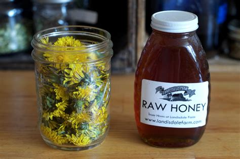 how-to-make-dandelion-infused-honey-food-in-jars image