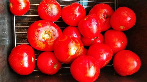 tomato-sauce-recipe-with-fresh-tomatoes-no-peeling image