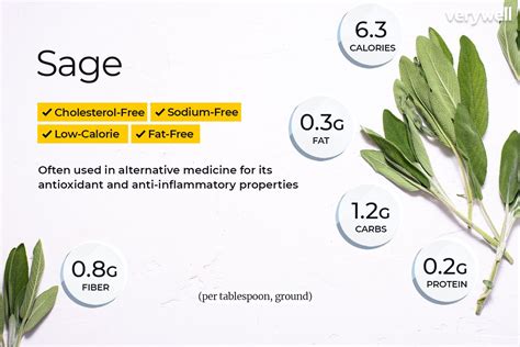 sage-health-benefits-side-effects-and-interactions image