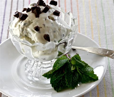 mint-chocolate-chip-frozen-yogurt-americas-table image