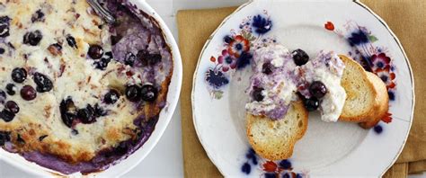 bacon-blueberry-white-cheddar-dip image
