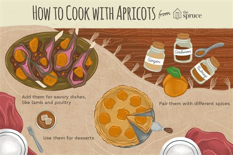 tips-for-cooking-with-apricots-the-spruce-eats image
