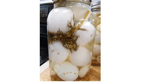 dill-pickled-eggs-pioneer-thinking image
