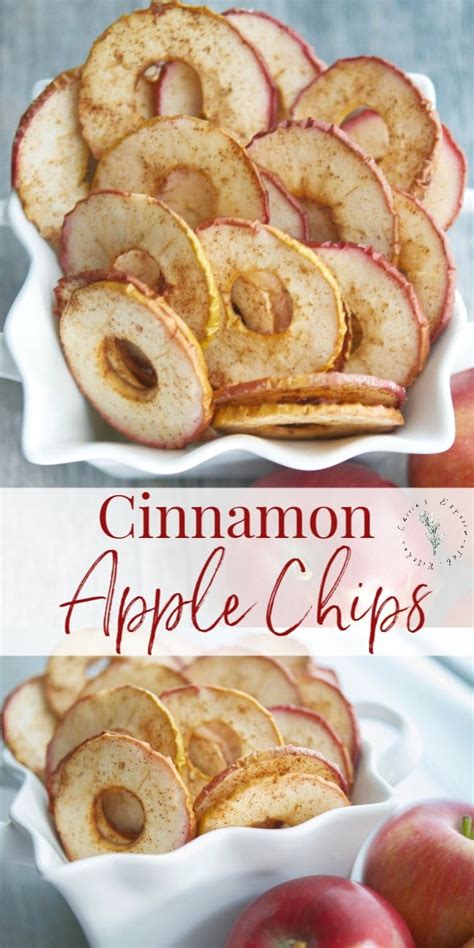 homemade-cinnamon-apple-chips-carries image