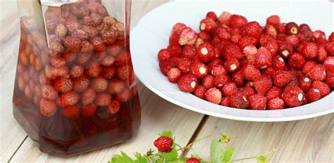recipe-for-liquore-alla-fragola-strawberry-liqueur image