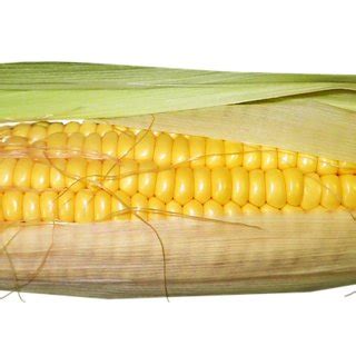 green-beans-vs-sweet-corn-what-is-the-difference image