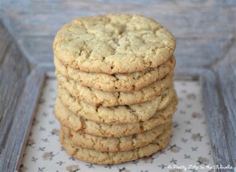 recipe-for-dads-cookies-a-pretty-life-in-the-suburbs image