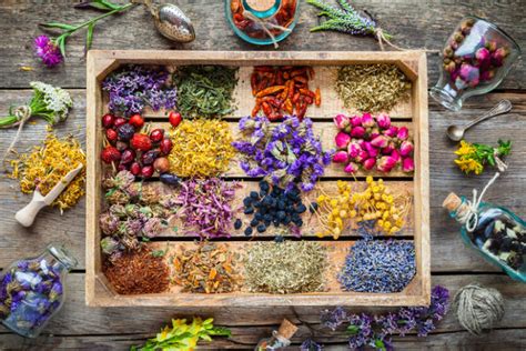 guide-to-homemade-medicine-healing-tinctures-and image