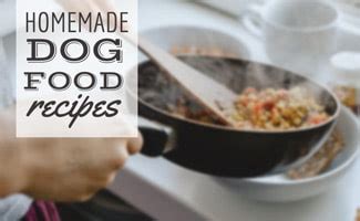 best-homemade-dog-food-recipes-vet-approved-and image