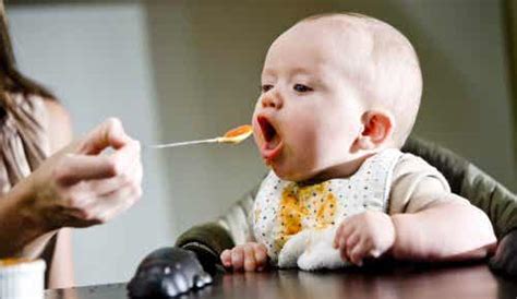 tasty-recipes-for-babies-from-9-to-12-months-old-you image