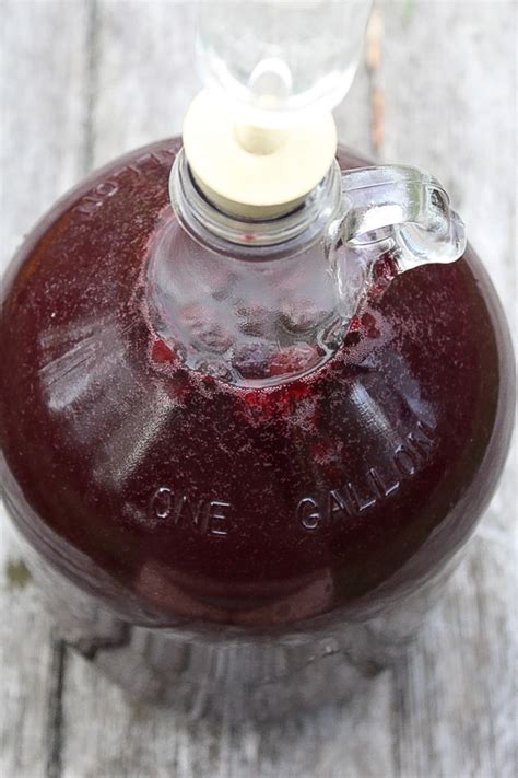 homemade-pomegranate-wine-practical-self-reliance image