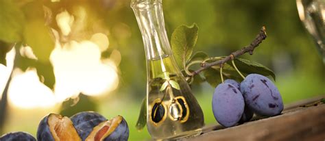 4-most-popular-european-plum-brandies-tasteatlas image