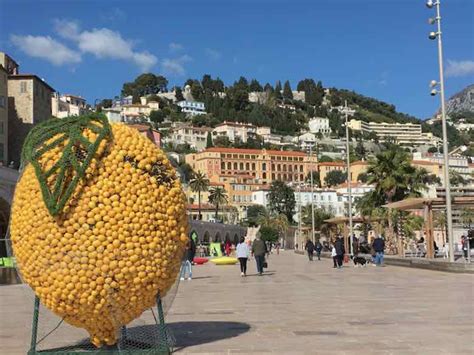 what-are-the-best-lemon-pastries-to-buy-in-menton image