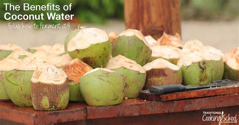 the-benefits-of-coconut-water-how-to-ferment-it image