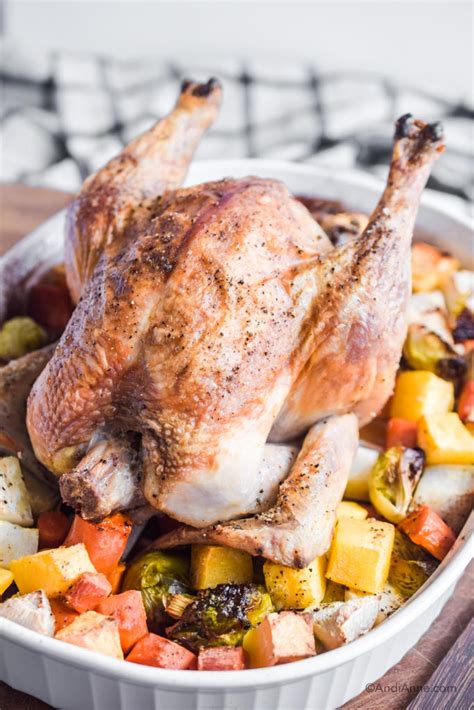 roasted-chicken-with-root-vegetables-andi-anne image