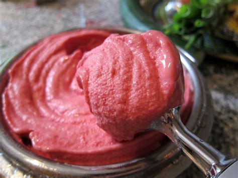 how-to-make-sorbets-ice-cream-nation image