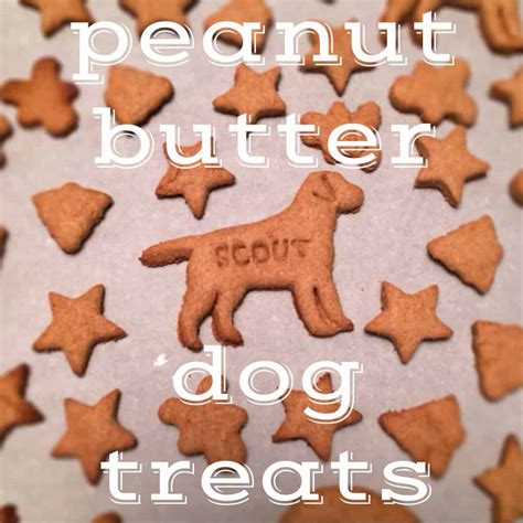 homemade-dog-treats-recipe-peanut-butter-dog image