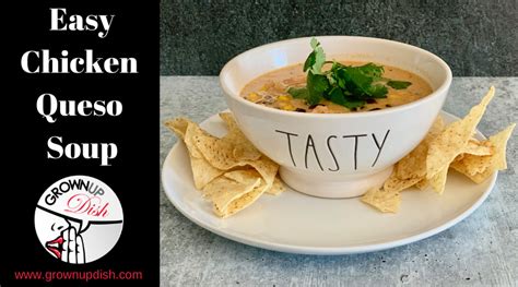 easy-chicken-queso-soup-grownup-dish image