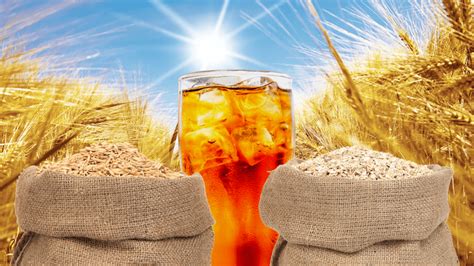 roasted-barley-tea-benefits-and-ways-to-make-it-tea image