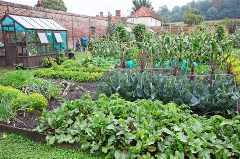 how-to-make-a-vegetable-patch-bbc-gardeners-world image