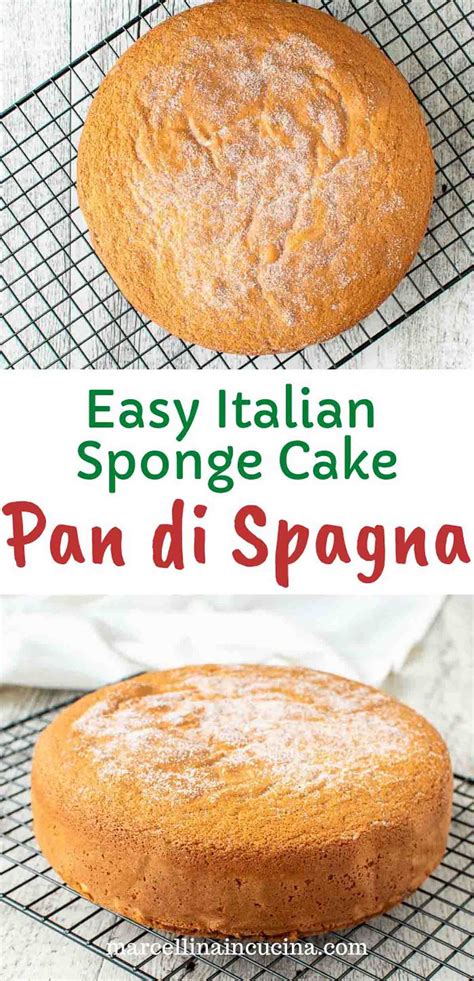 pan-di-spagna-italian-sponge-cake-marcellina-in image