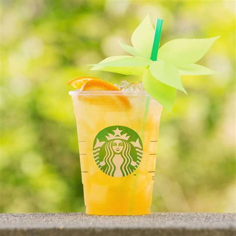 dairy-free-starbucks-guide-complete-with-beverages image