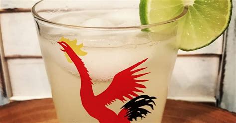 10-best-drinks-with-club-soda-and-gin-recipes-yummly image