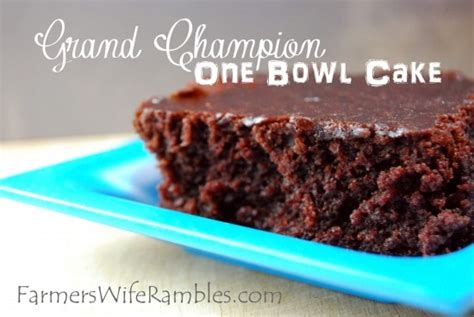 grand-champion-one-bowl-easy-chocolate-cake image