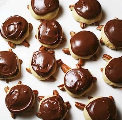snappy-turtle-cookies-mom-loves-baking image