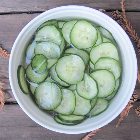 best-swedish-pickled-cucumbers-recipe-how-to image