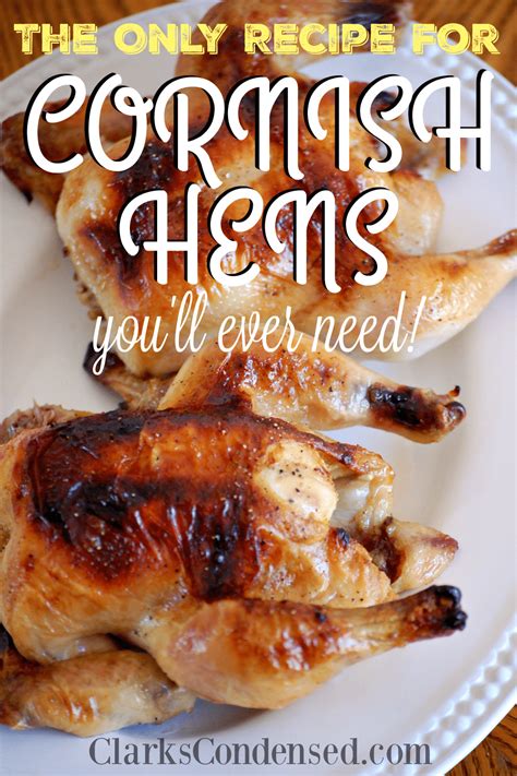 the-best-cornish-hen-recipe-clarks-condensed image