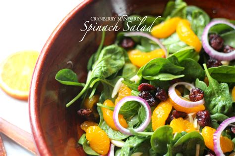 cranberry-mandarin-spinach-salad-practical image