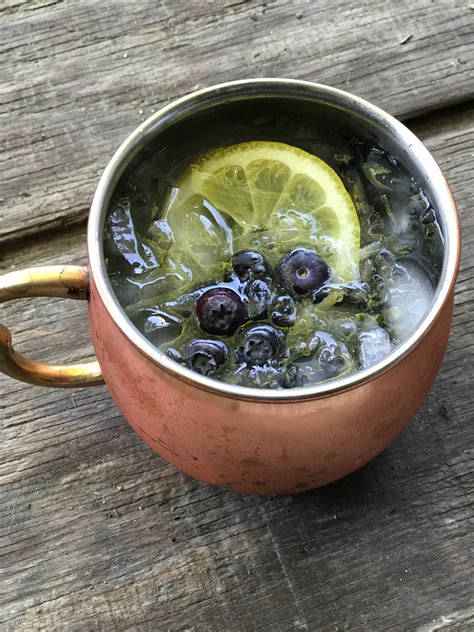 easy-lemon-blueberry-moscow-mule-daily-dish image