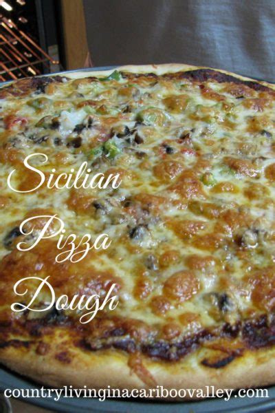 homemade-pizza-dough-recipe-fast-and-easy-dinners image