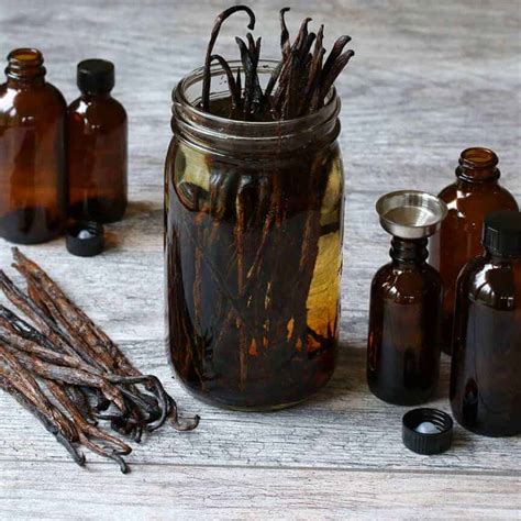 how-to-make-the-best-vanilla-extract-the-daring image