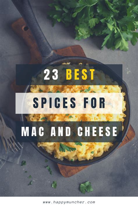 what-spices-to-put-in-mac-and-cheese-23-best-spices image