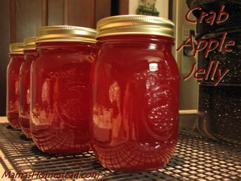 how-to-make-crab-apple-jelly-mamas-homestead image