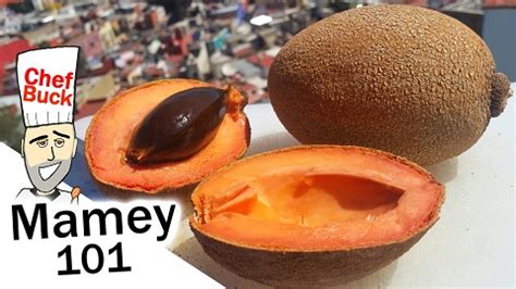 mamey-fruit-how-to-eat-mamey-sapote-myfoodchannel image