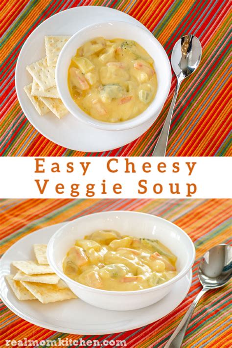 easy-cheesy-veggie-soup-real-mom-kitchen image