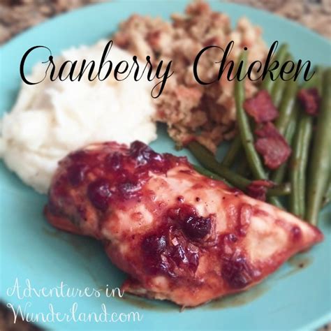crock-pot-cranberry-chicken-recipe-wunder-momcom image