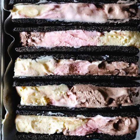 chocolate-ice-cream-sandwich-cookie-the-frozen-biscuit image