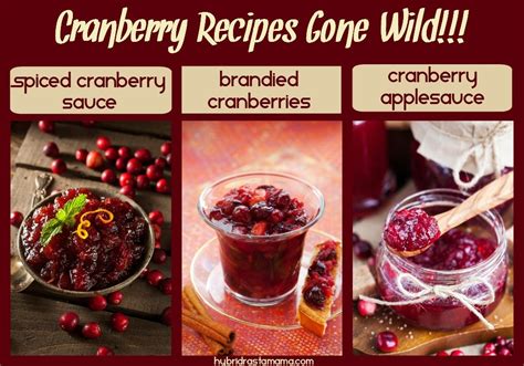 the-best-cranberry-sauce-brandied-cranberries image