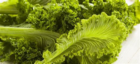 mustard-greens-nutrition-health-benefits image