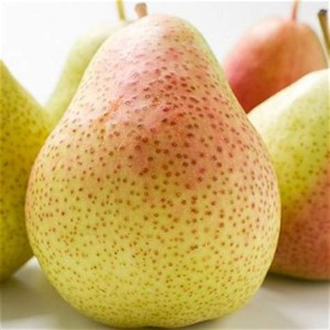 old-fashioned-pear-crisp-chatelaine image