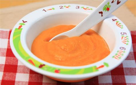 best-easy-nutritious-puree-recipe-ideas-for-weaning image
