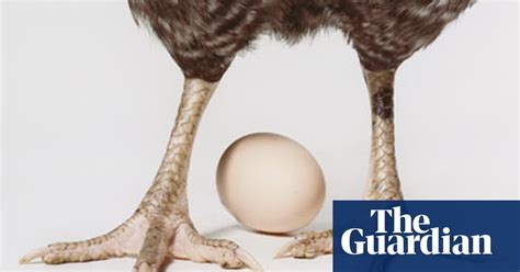 how-i-poached-an-egg-with-delia-food-the-guardian image